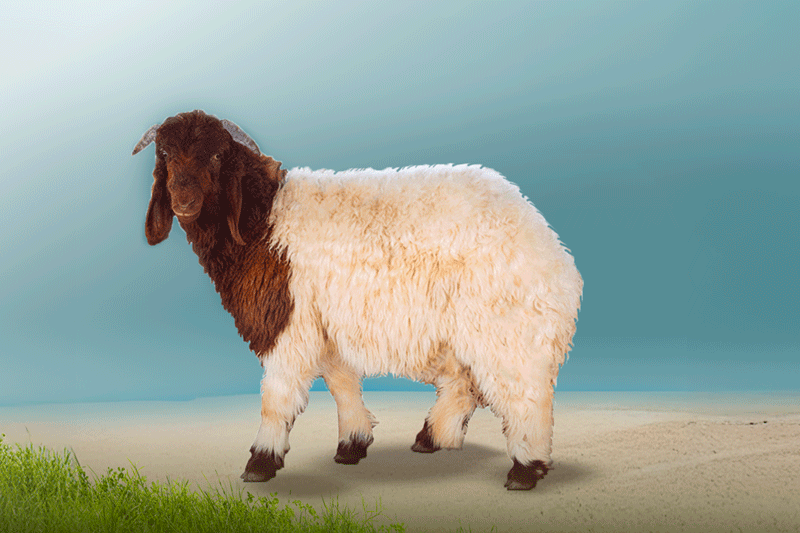 Naimi Herfy 3 months